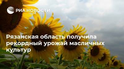 Николай Любимов - Рязанская область получила рекордный урожай масличных культур - smartmoney.one - Рязанская обл.