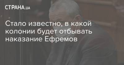 Михаил Ефремов - Стало известно, в какой колонии будет отбывать наказание Ефремов - strana.ua - Москва - Россия - Украина - Белгородская обл.