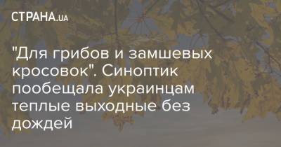 Наталья Диденко - "Для грибов и замшевых кросовок". Синоптик пообещала украинцам теплые выходные без дождей - strana.ua - Украина