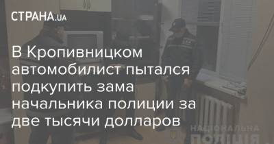 В Кропивницком автомобилист пытался подкупить зама начальника полиции за две тысячи долларов - strana.ua - США - Украина - Кировоградская обл.