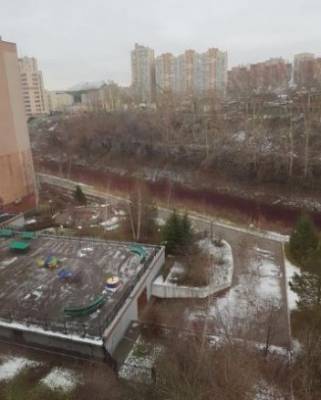 Андрей Панов - Кузбасские власти рассказали, что стало источником загрязнения Искитимки - gazeta.a42.ru