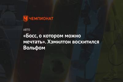 Льюис Хэмилтон - Вольф Тото - «Босс, о котором можно мечтать». Хэмилтон восхитился Вольфом - championat.com