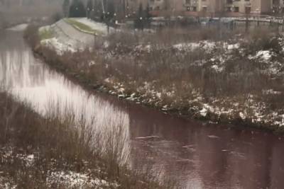 Андрей Панов - Власти объяснили побагровевшую реку в Кемерове засором коллектора - tayga.info