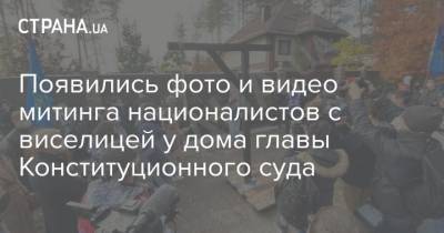 Александр Тупицкий - Появились фото и видео митинга националистов с виселицей у дома главы Конституционного суда - strana.ua - Украина
