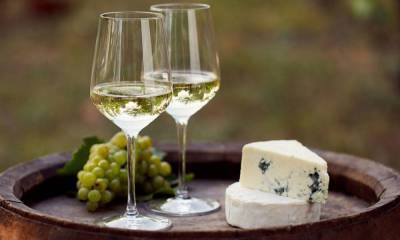 9 примеров самых удачных сочетаний сыра и вина - skuke.net