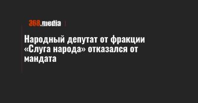 Народный депутат от фракции «Слуга народа» отказался от мандата - 368.media - Ивано-Франковская обл. - Надворная