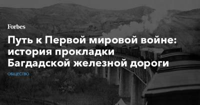 Путь к Первой мировой войне: история прокладки Багдадской железной дороги - forbes.ru - Россия - Санкт-Петербург - Турция - Османская Империя - Багдад