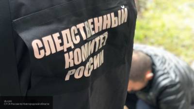 СК расследует убийство двух женщин в Солнечногорском районе - inforeactor.ru - район Солнечногорский