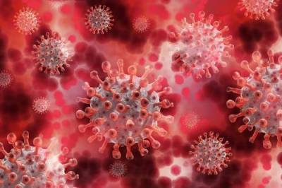 Во Франции - Во Франции число скончавшихся от коронавируса пациентов превысило 40 тысяч - argumenti.ru - Россия - Франция - Santé