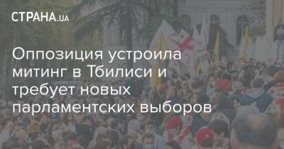 Григол Вашадзе - Оппозиция устроила митинг в Тбилиси и требует новых парламентских выборов - strana.ua - Украина - Грузия - Тбилиси - Парламент