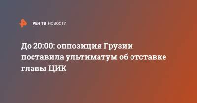 Бидзина Иванишвили - Ника Мелия - До 20:00: оппозиция Грузии поставила ультиматум об отставке главы ЦИК - ren.tv - Грузия