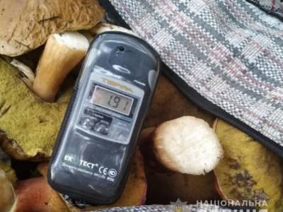 Из зоны отчуждения ЧАЭС хотели вывезти 60 килограммов радиационных грибов - golos.ua - Украина - Киевская обл.