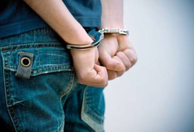 Стало известно, почему 15-летний школьник из Петербурга пытался убить свою семью - online47.ru - Ленинградская обл. - Санкт-Петербург