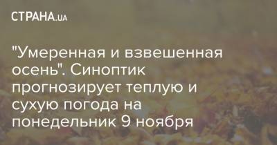 Наталья Диденко - "Умеренная и взвешенная осень". Синоптик прогнозирует теплую и сухую погода на понедельник 9 ноября - strana.ua - Украина - Киев