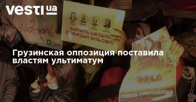 Ника Мелия - Грузинская оппозиция поставила властям ультиматум - vesti.ua - Грузия