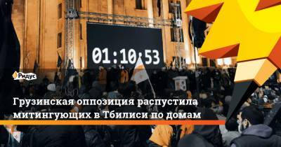 Ника Мелия - Грузинская оппозиция распустила митингующих в Тбилиси по домам - ridus.ru - Грузия - Тбилиси