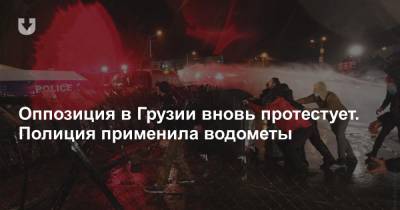 Ника Мелия - Оппозиция в Грузии вновь протестует. Полиция применила водометы - news.tut.by - Грузия - Тбилиси