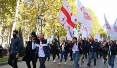 Ника Мелия - Грузинская оппозиция планирует провести новую акцию протеста - mirnov.ru - Грузия - Тбилиси