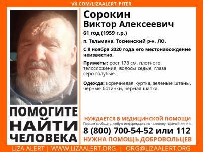 В Тосненском районе без вести пропал 61-летний мужчина - ivbg.ru - Ленобласть