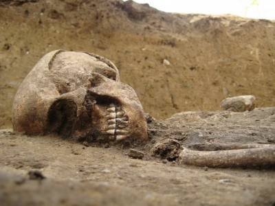 Кости жившей 5000 лет назад женщины нашли в Германии - polit.ru - Германия - земля Бранденбург