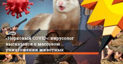 Метте Фредериксен - Александр Бутенко - «Норковый COVID»: вирусолог высказался омассовом уничтожении животных - ridus.ru - Дания