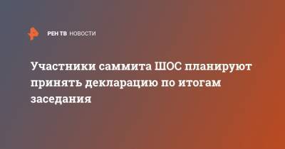 Владимир Путин - Участники саммита ШОС планируют принять декларацию по итогам заседания - ren.tv - Россия - Китай - Казахстан - Киргизия - Индия - Пакистан