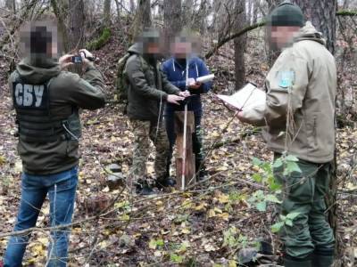 В Сумской области разоблачили чиновников на масштабной незаконной вырубке леса - gordonua.com - Украина - Сумская обл.