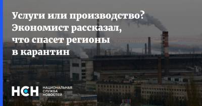 Василий Колташов - Михаил Мишустин - Услуги или производство? Экономист рассказал, что спасет регионы в карантин - nsn.fm - респ. Ингушетия - Псковская обл. - республика Мордовия