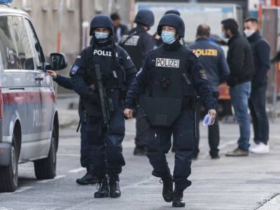 Карл Нехаммер - Полиция Австрии провела антитеррористические рейды и задержала 30 человек - gordonua.com - Австрия - Палестина - Вена