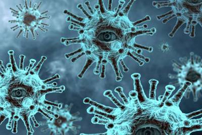 Ученые обнаружили замороженных «родственников» коронавируса - lenta.ua - Китай - Япония - Камбоджа