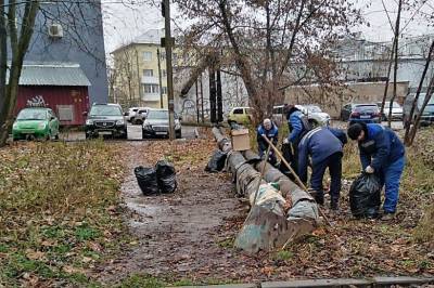 Виктория Макарова - В центре Смоленска ликвидировали стихийную свалку мусора - rabochy-put.ru - Смоленск - район Промышленный