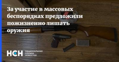 Владимир Колокольцев - Антон Орлов - За участие в массовых беспорядках предложили пожизненно лишать оружия - nsn.fm - Россия