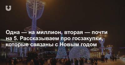 Одна — на миллион, вторая — почти на 5. Рассказываем про госзакупки, которые связаны с Новым годом - news.tut.by - Минск