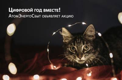 В Новый год с цифровыми сервисами АтомЭнергоСбыт - afanasy.biz
