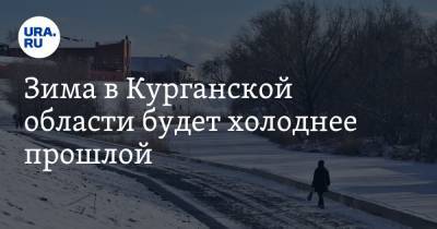 Илья Винштейн - Зима в Курганской области будет холоднее прошлой - ura.news - Курганская обл.
