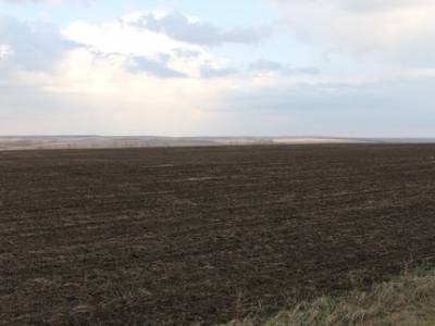 В Башкирии из-за разлива нефти земельный участок стал непригодным для сельского хозяйства - ufatime.ru - Башкирия - район Янаульский