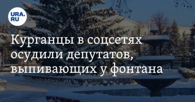 Курганцы в соцсетях осудили депутатов, выпивающих у фонтана. «Позорище!» - ura.news - Россия - Курганская обл. - Шадринск