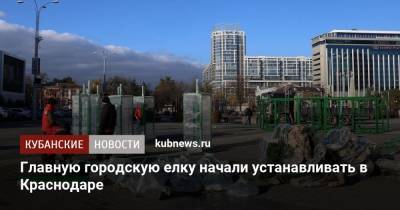 Главную городскую елку начали устанавливать в Краснодаре - kubnews.ru - Краснодар