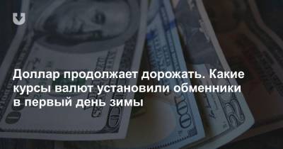 Доллар продолжает дорожать. Какие курсы валют установили обменники в первый день зимы - news.tut.by - Белоруссия