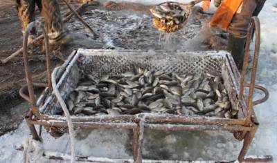 Держекоінспекція нарахувала 155 тисяч гривень збитків браконьєрам, які здійснювали вилов риби в заказнику на Черкащині - akcenty.com.ua - Украина