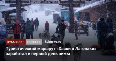 Туристический маршрут «Хаски в Лагонаки» заработал в первый день зимы - kubnews.ru
