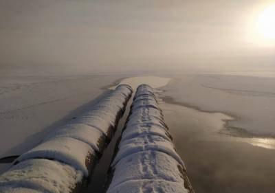 В Челябинске общественники заявили о загрязнении озера Смолино канализационными стоками - nakanune.ru - Россия - Челябинск