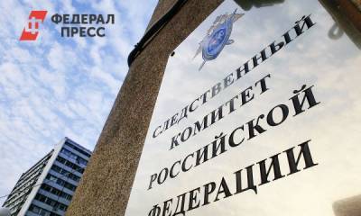 Алексей Навальный - СК опроверг информацию о проверке высказываний Навального - fedpress.ru - Москва - Россия
