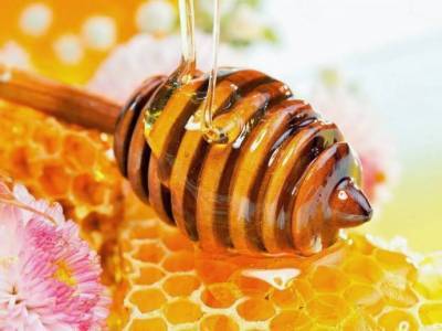 ​5 причин есть мёд на ночь - skuke.net