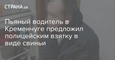 Пьяный водитель в Кременчуге предложил полицейским взятку в виде свиньи - strana.ua - г. Александрия - Полтава - Кременчуг