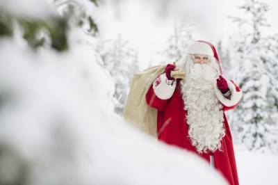 Дистанция между эльфами и режим масок: как будет происходить Рождество в условиях пандемии - 24tv.ua - Финляндия