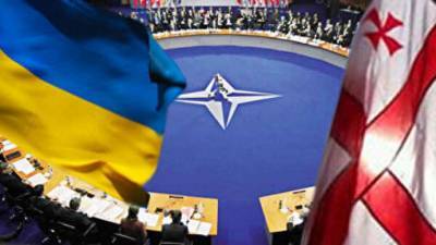 Руководство НАТО заявило о необходимости расширении партнерства с Грузией и Украиной - lenta.ua - Россия - Китай - Украина - Грузия