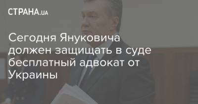 Виктор Янукович - Сегодня Януковича должен защищать в суде бесплатный адвокат от Украины - strana.ua