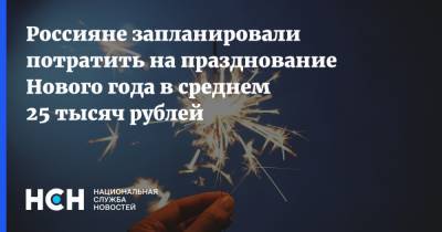 Россияне запланировали потратить на празднование Нового года в среднем 25 тысяч рублей - nsn.fm