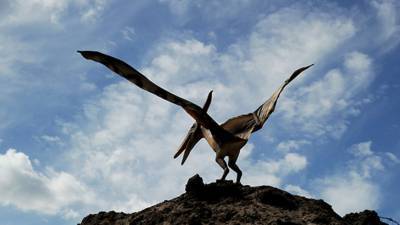 Вирджиния - Палеонтологи из США выявили ранних предков птерозавров - mir24.tv - США - Бразилия - Аргентина - Мадагаскар